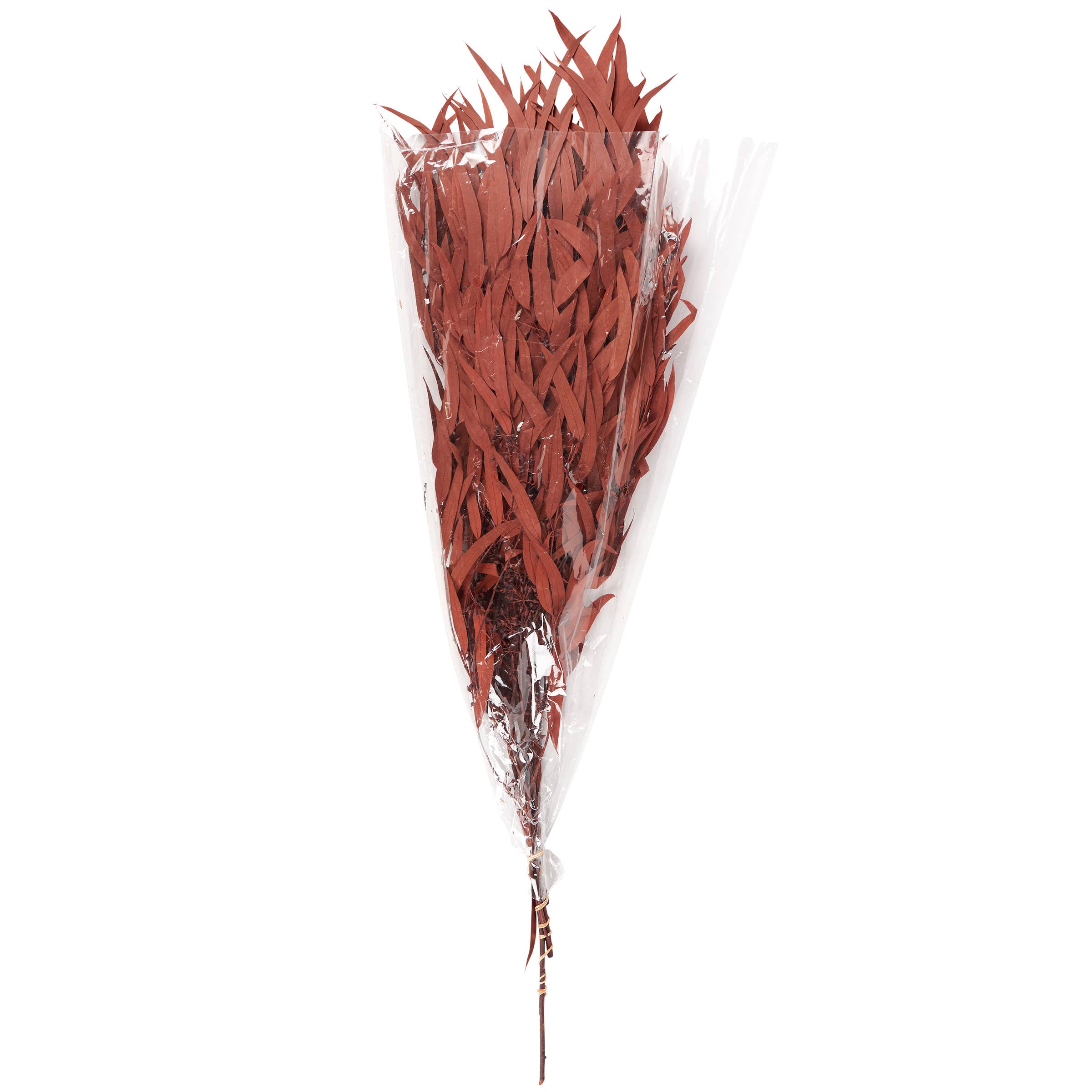 Rust Eucalyptus Bouquet