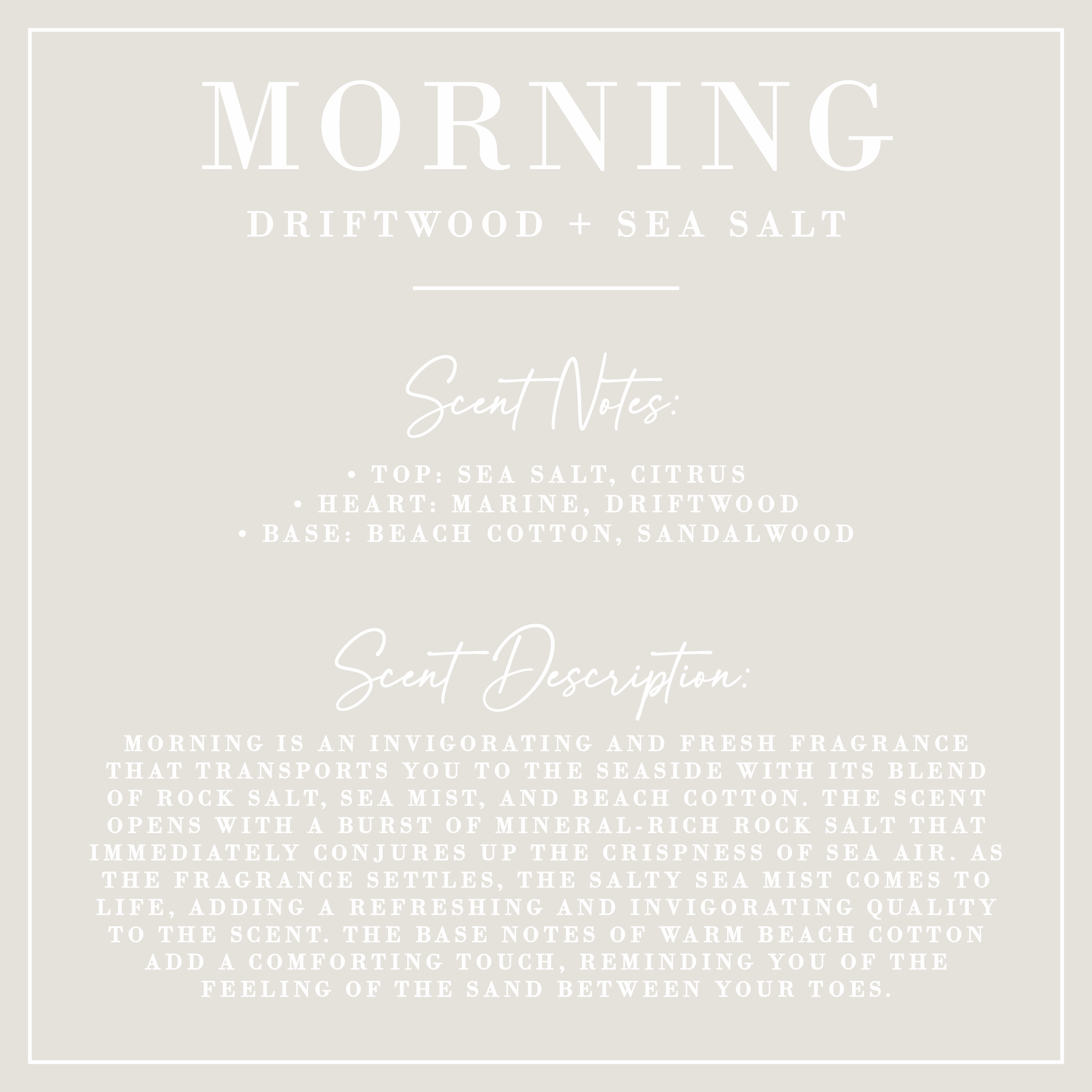 MORNING | Driftwood + Sea Salt Candle
