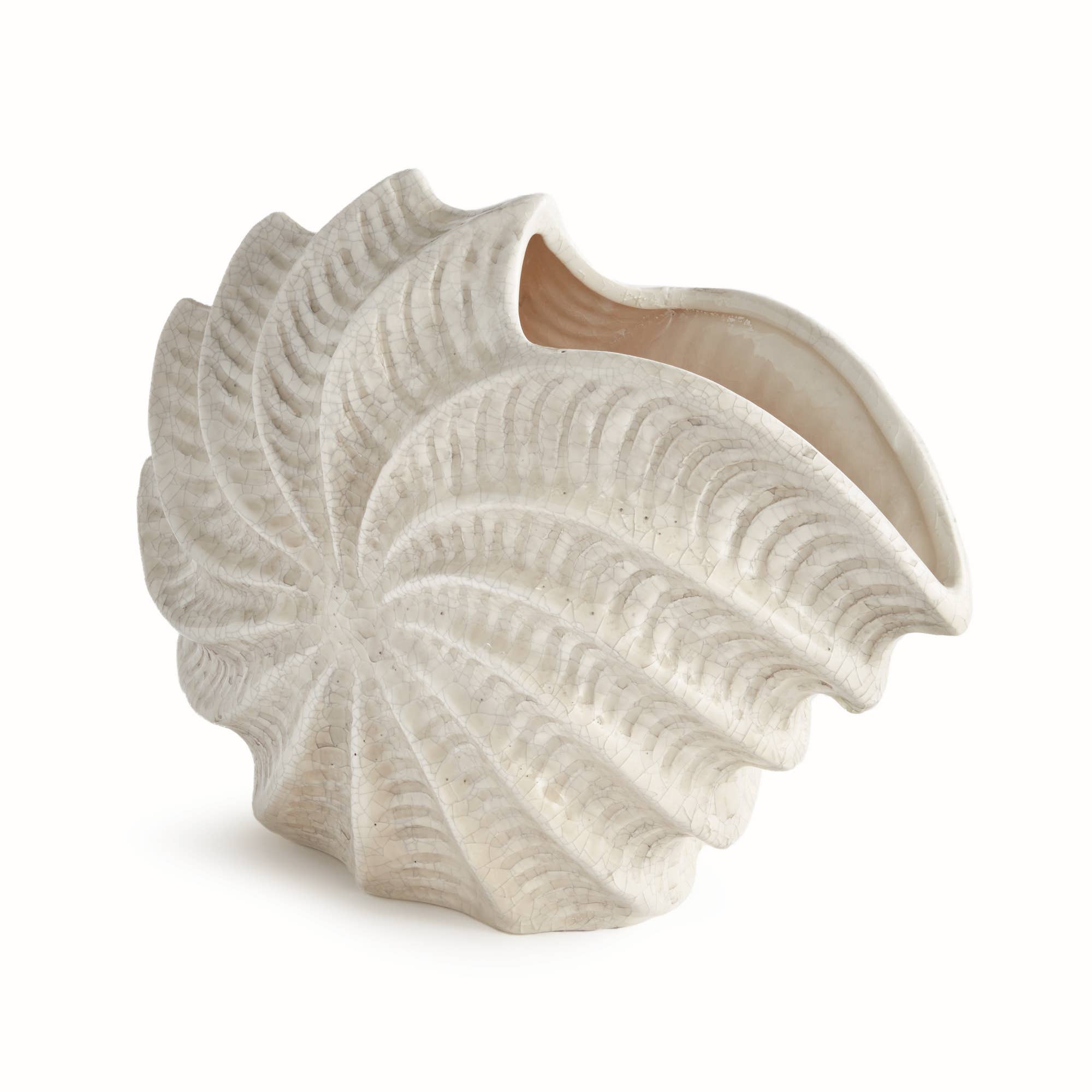 Nautilus Shell Vase