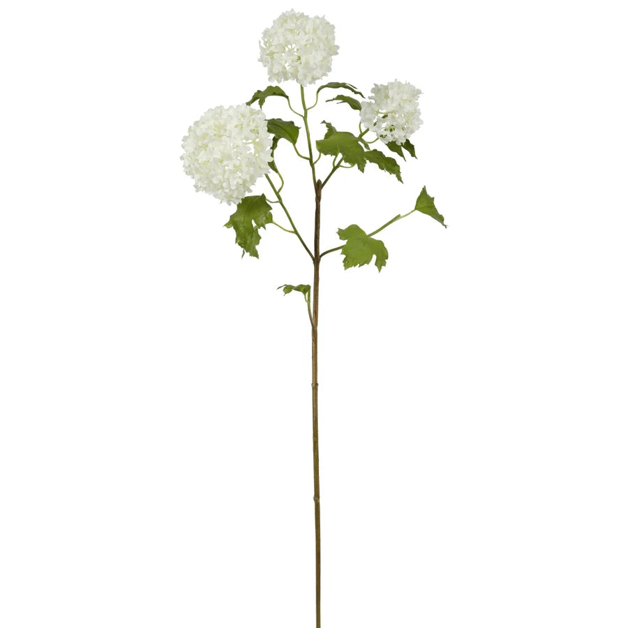 Snowball Hydrangea - Two Tone White