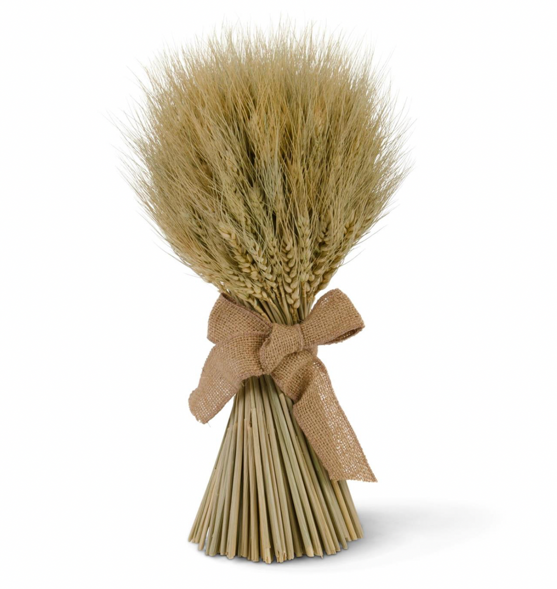 Dried Wheat Bundle