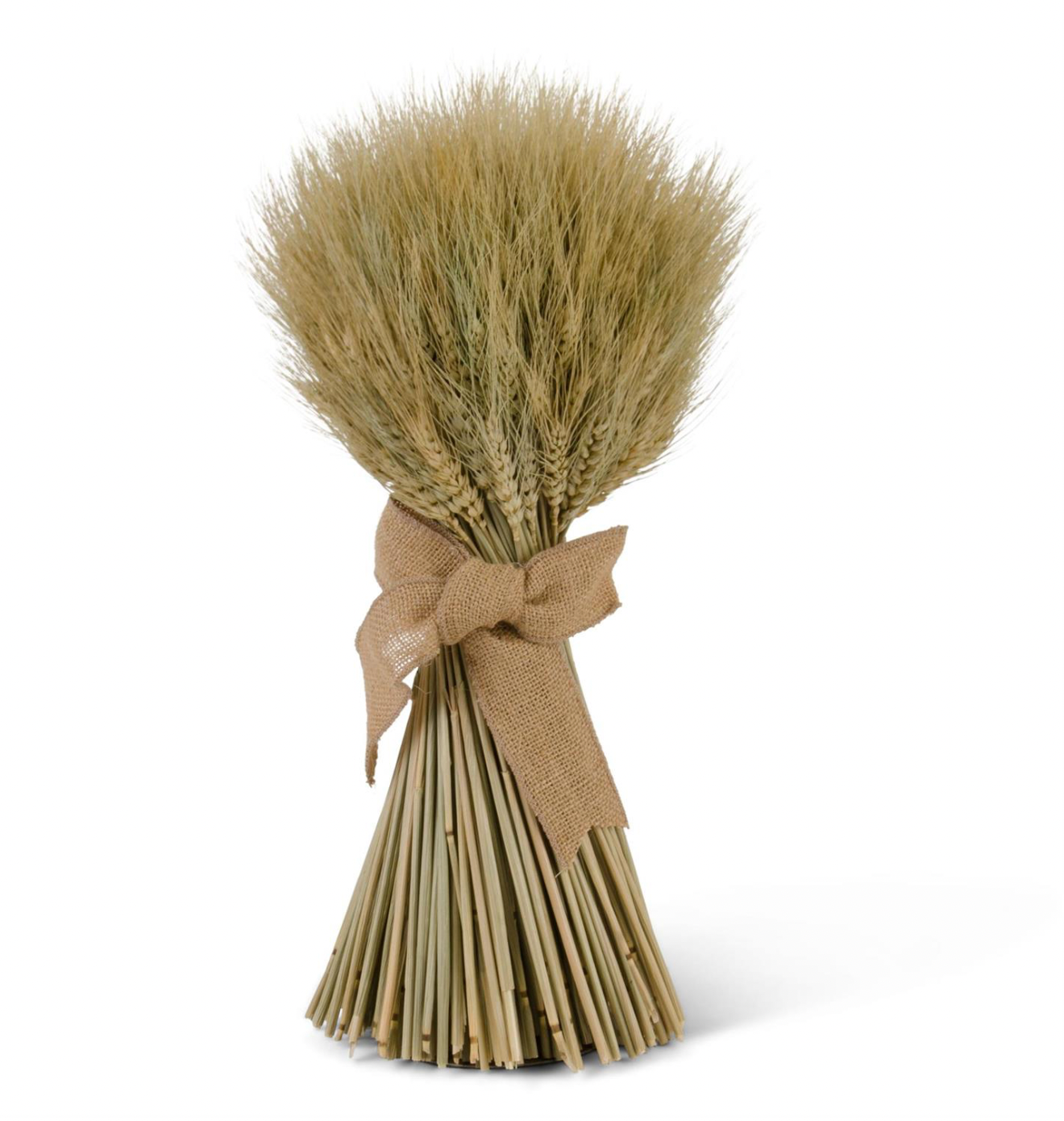 Dried Wheat Bundle