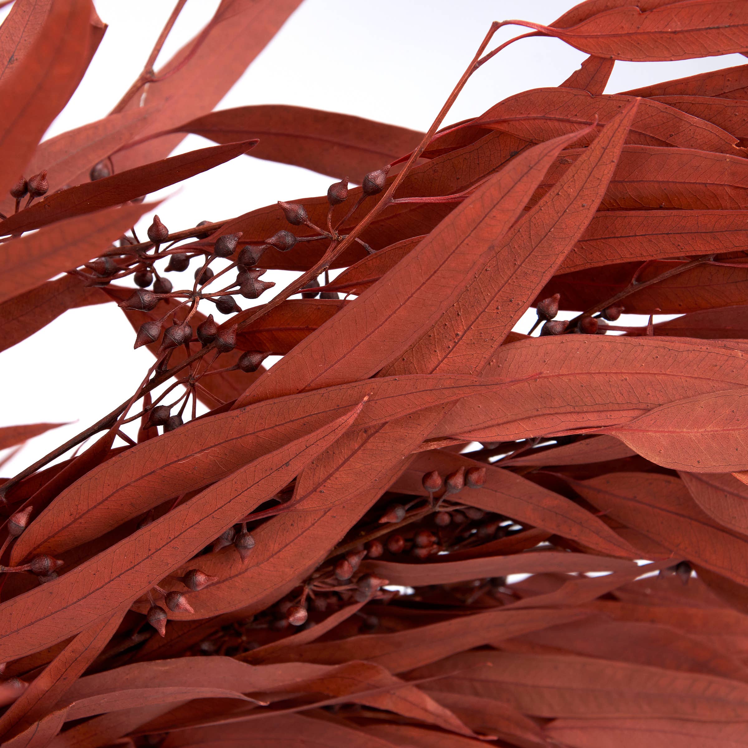 Rust Eucalyptus Bouquet