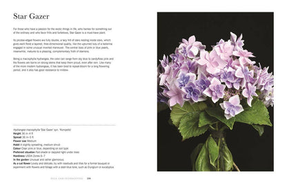 Hydrangeas: Beautiful Varieties for Home &amp; Garden