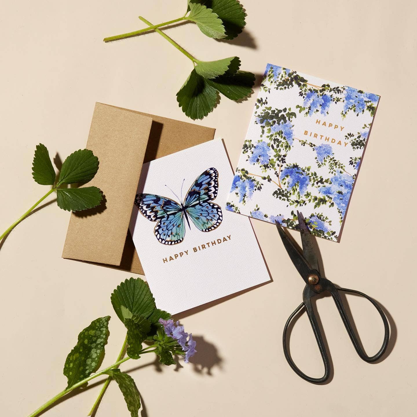 Wisteria Birthday Card