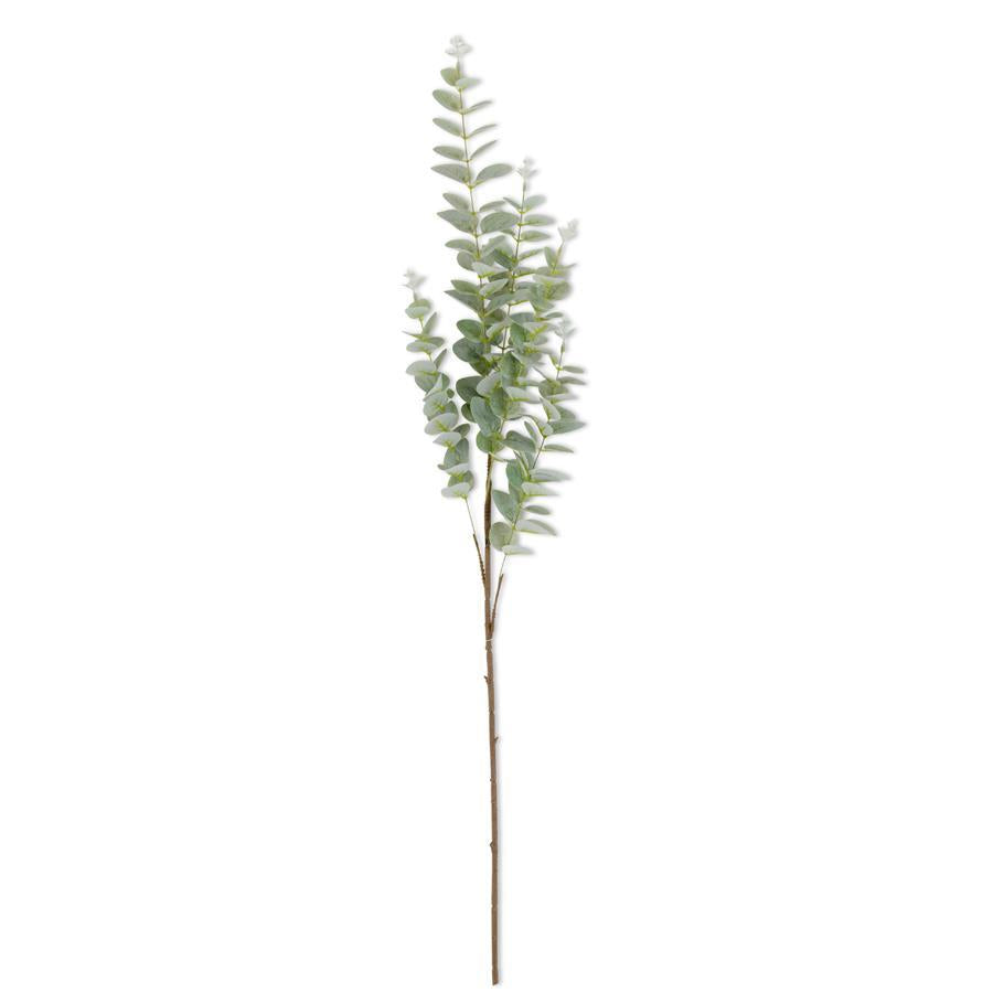 Eucalyptus - Light Green