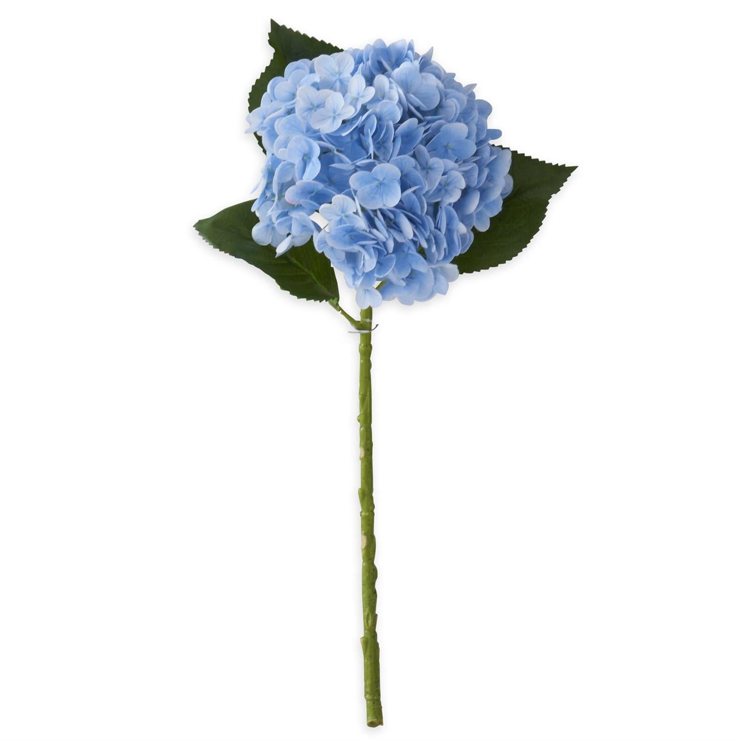Hydrangea - Blue