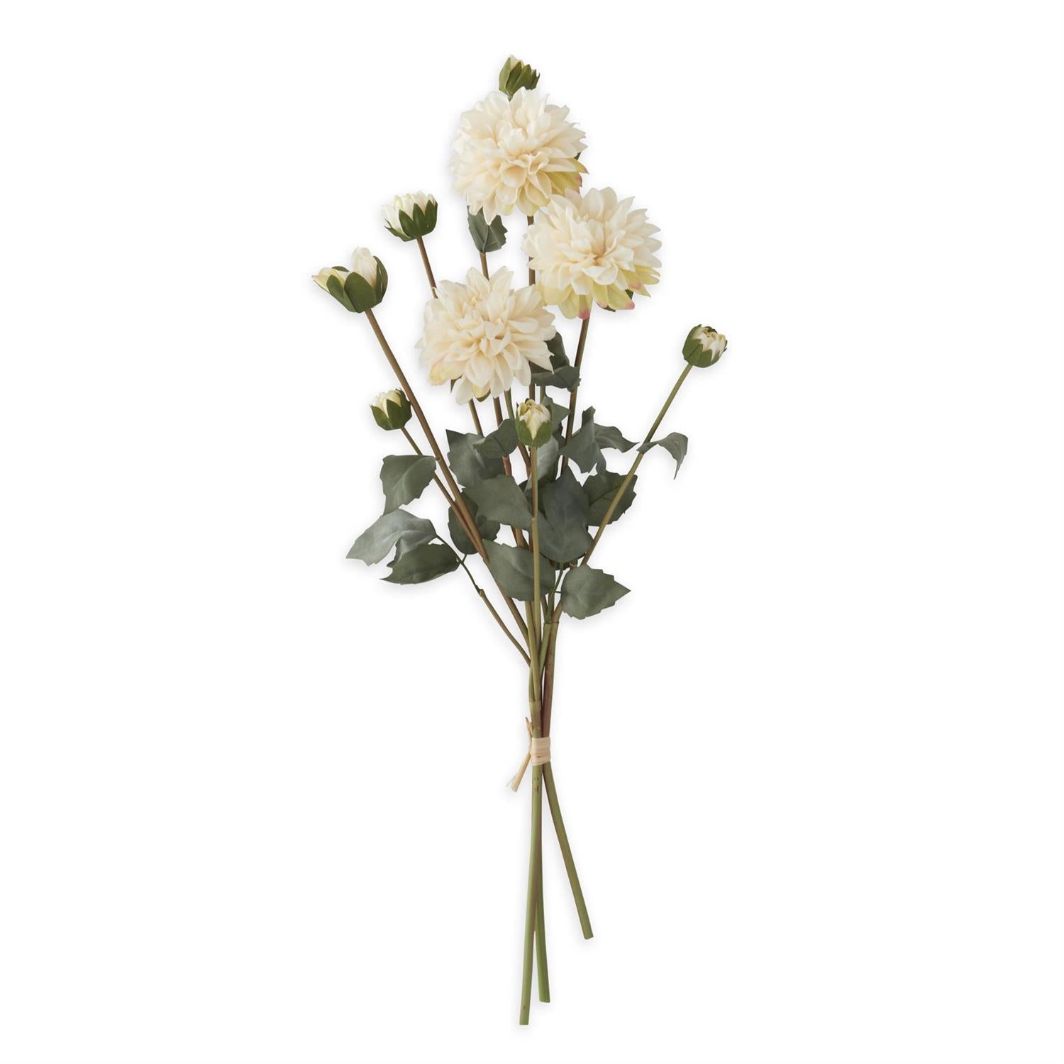 Faux Dried Dahlia Bundle - Cream