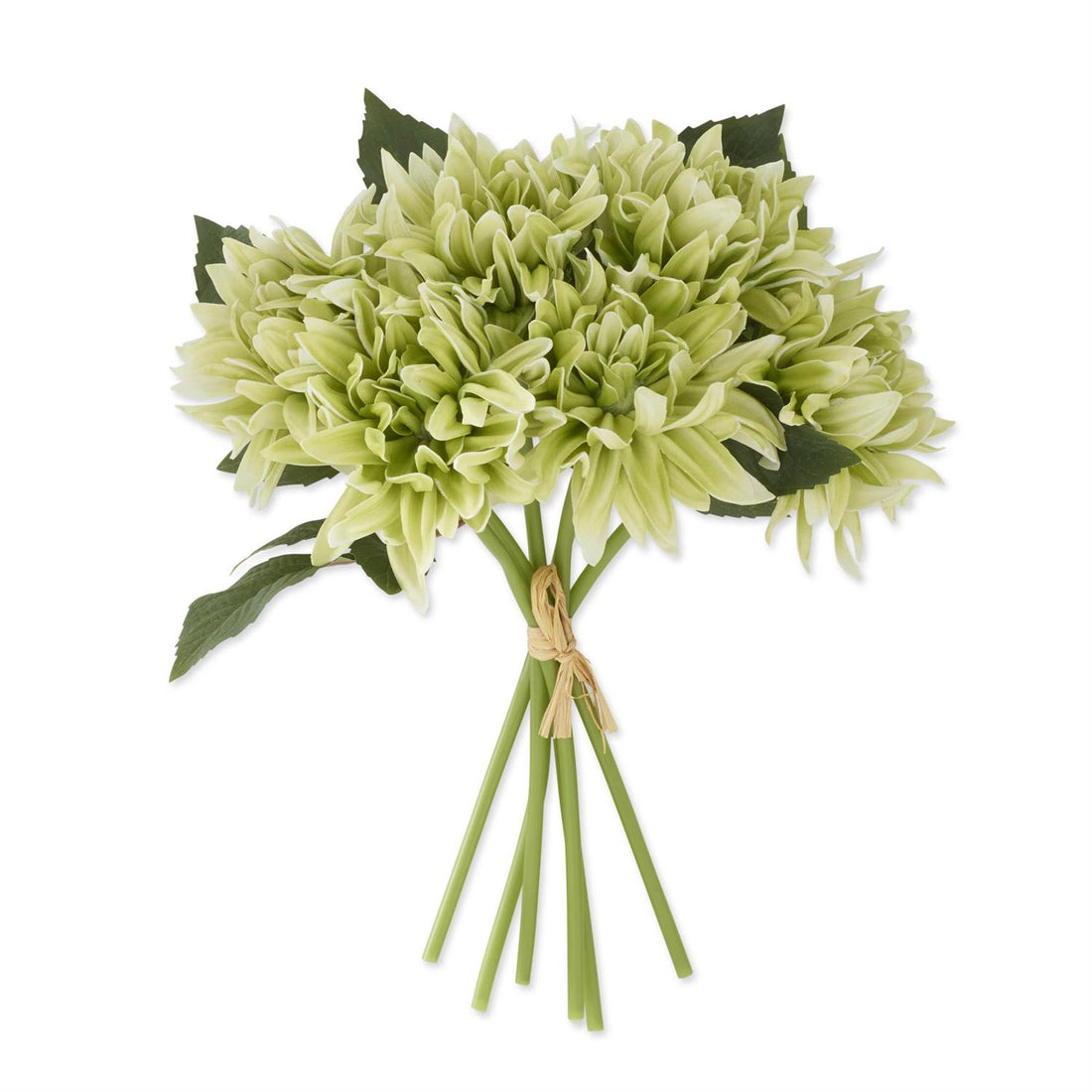 Dahlia Bundle - Green