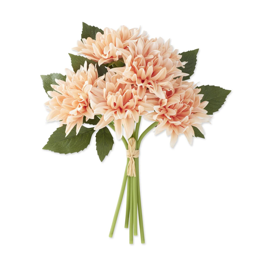 Dahlia Bundle - Pink