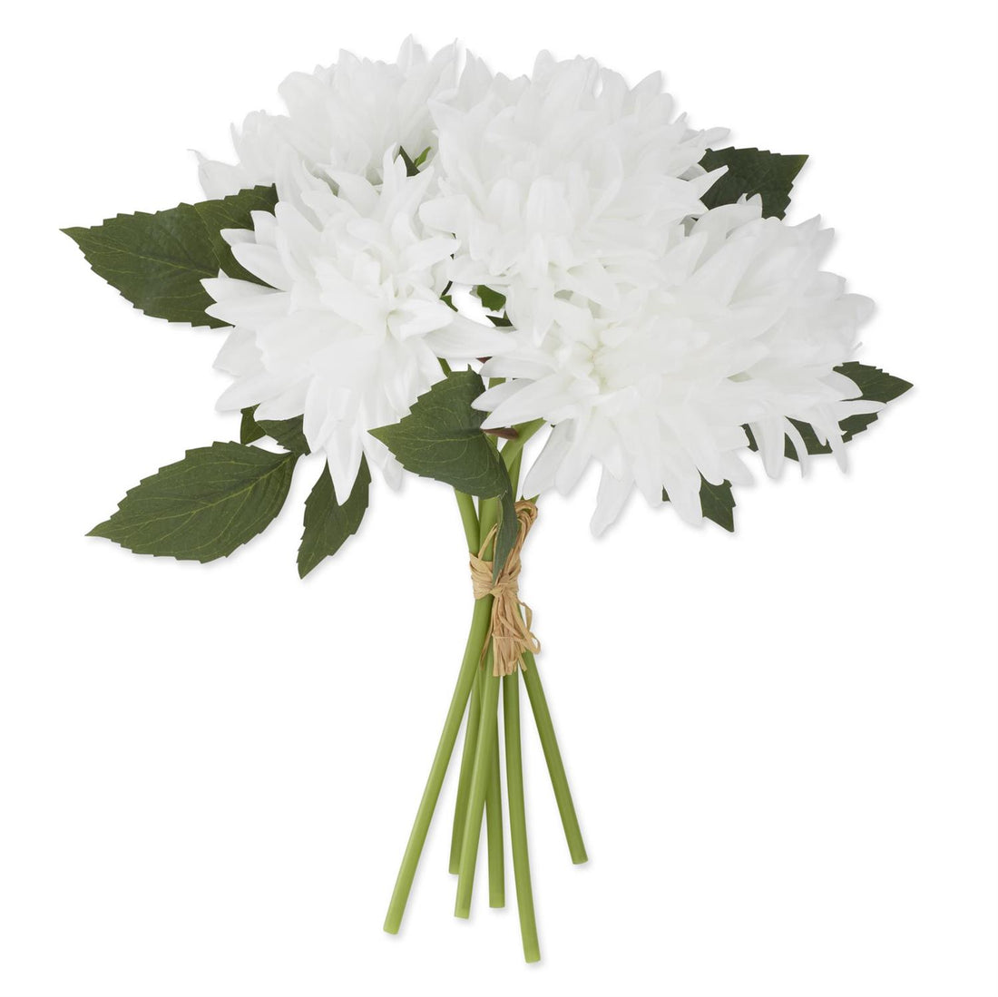 Dahlia Bundle - White