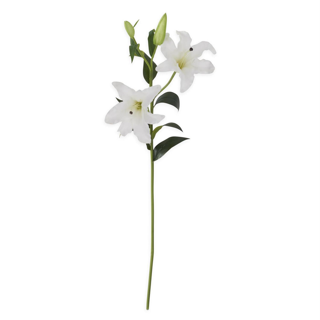 Lily - White