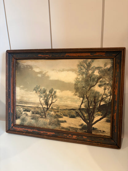Vintage Desert Landscape Framed Print