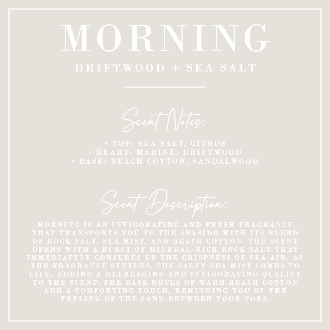 MORNING | Driftwood + Sea Salt Candle