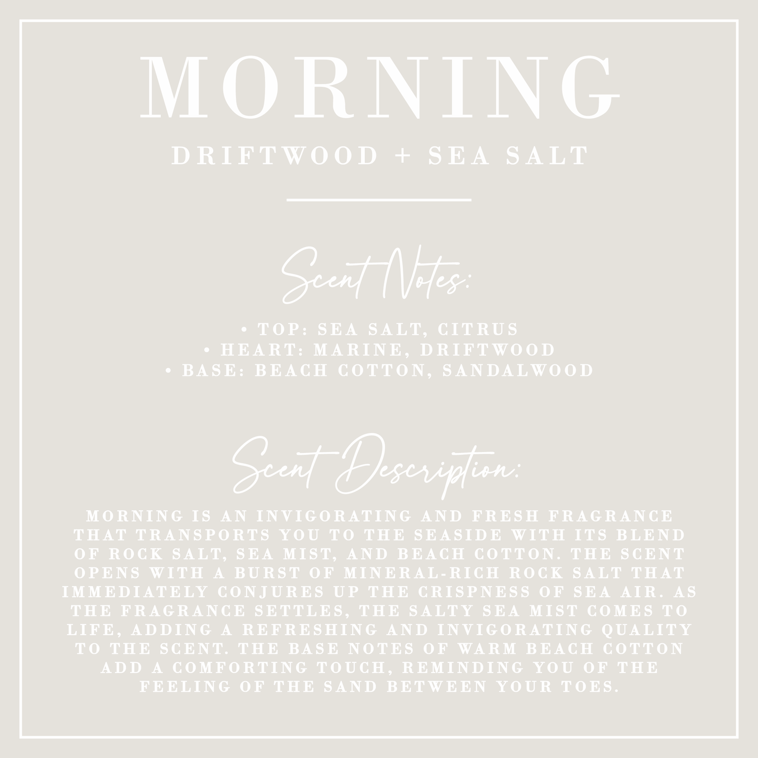 MORNING | Driftwood + Sea Salt Candle