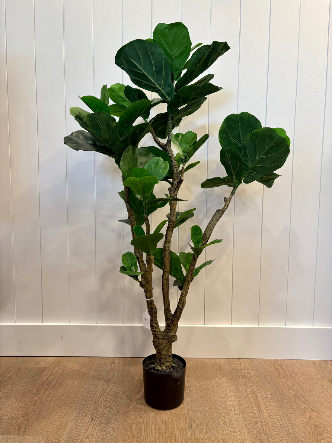 Faux Potted Fig Tree