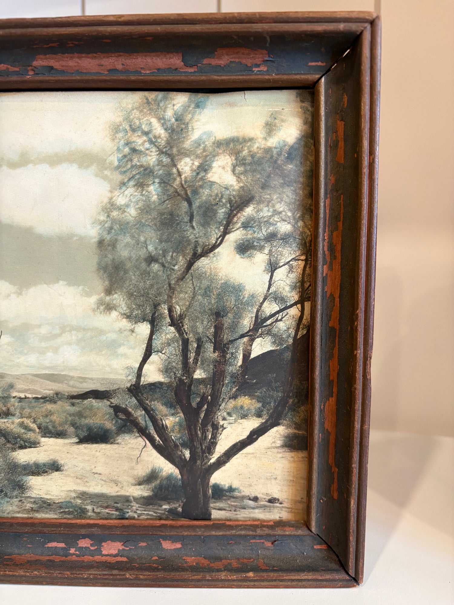 Vintage Desert Landscape Framed Print