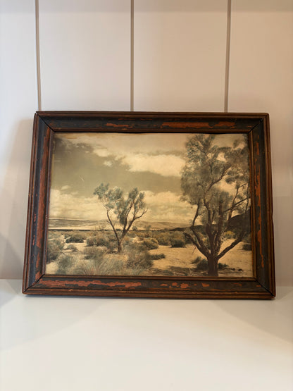 Vintage Desert Landscape Framed Print