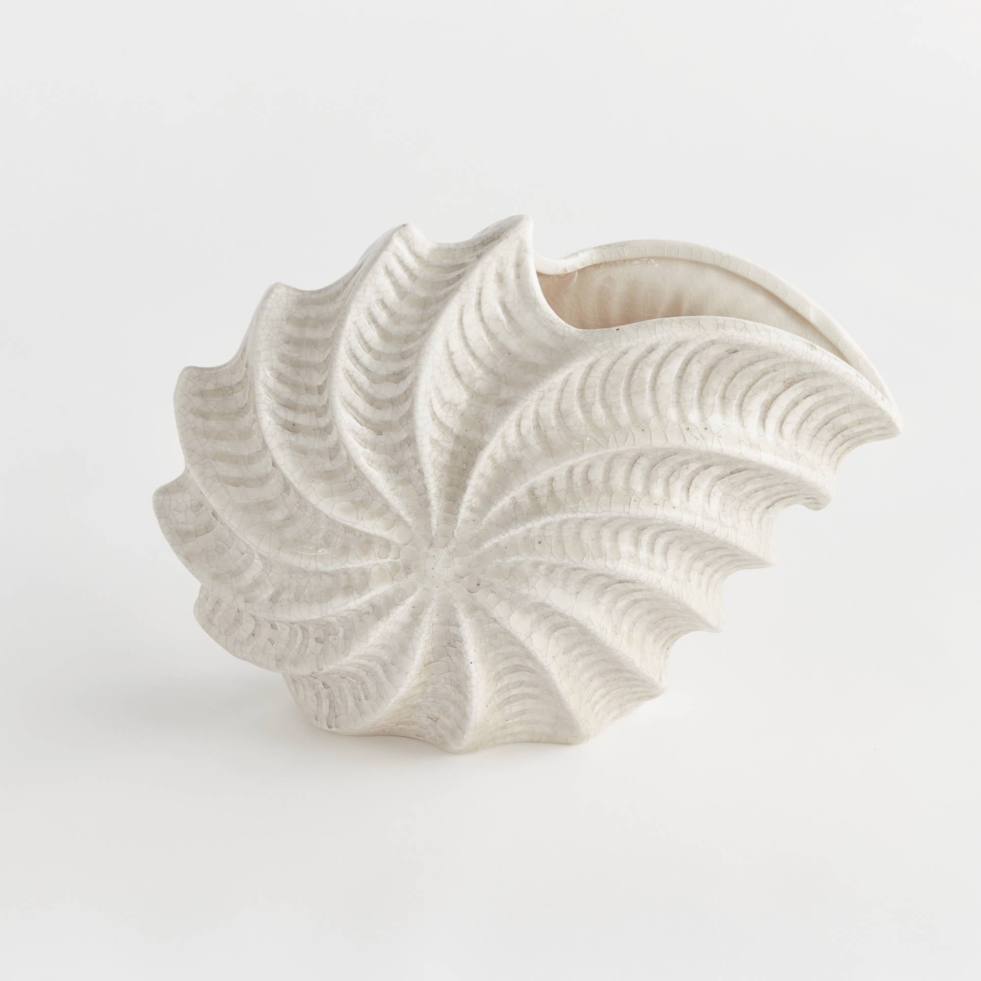 Nautilus Shell Vase
