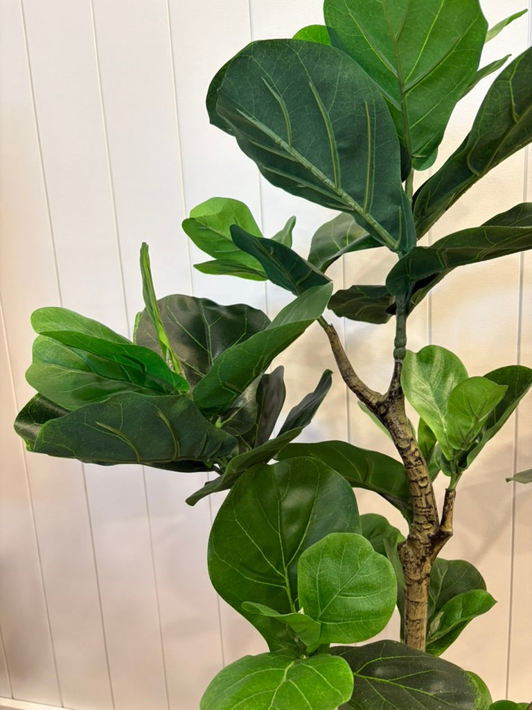 Faux Potted Fig Tree