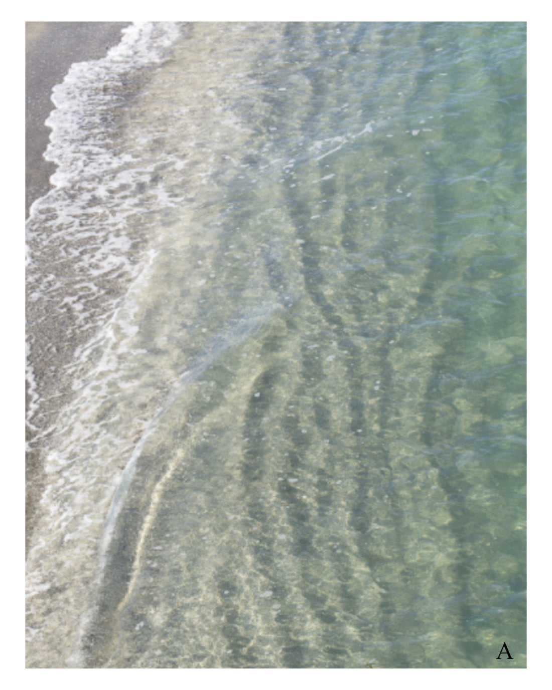 From Above - White Egret Studio