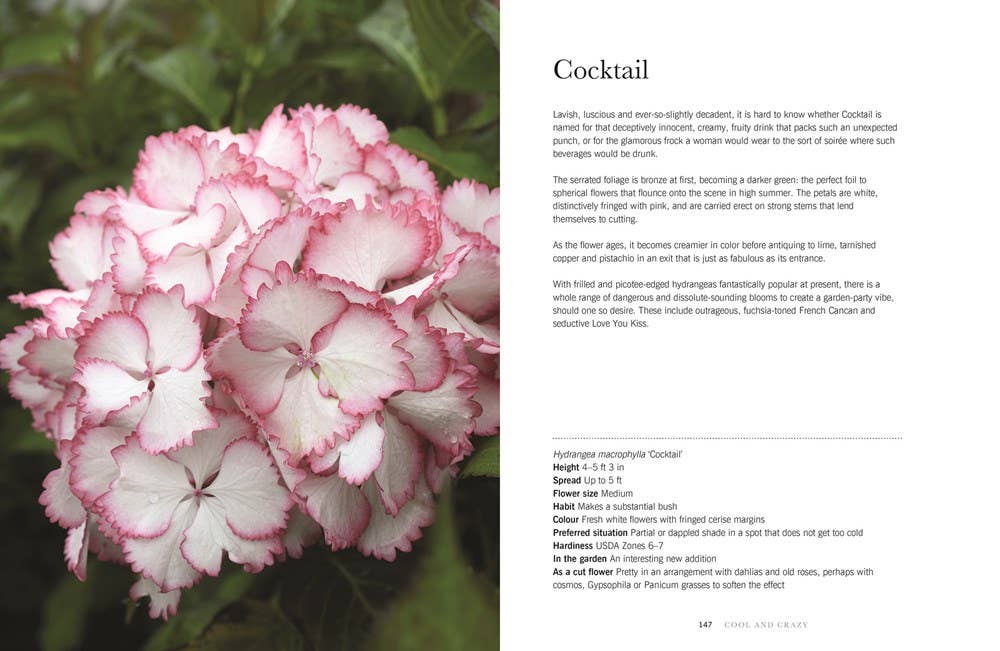 Hydrangeas: Beautiful Varieties for Home &amp; Garden