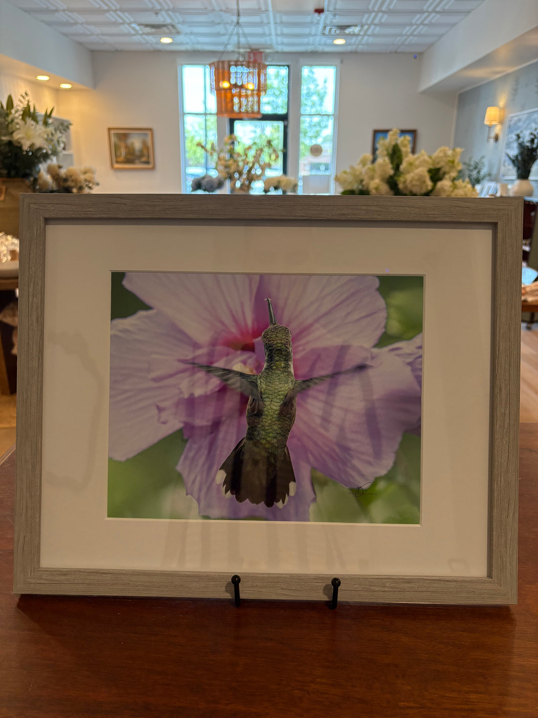 Framed Hummingbird - White Egret Studio