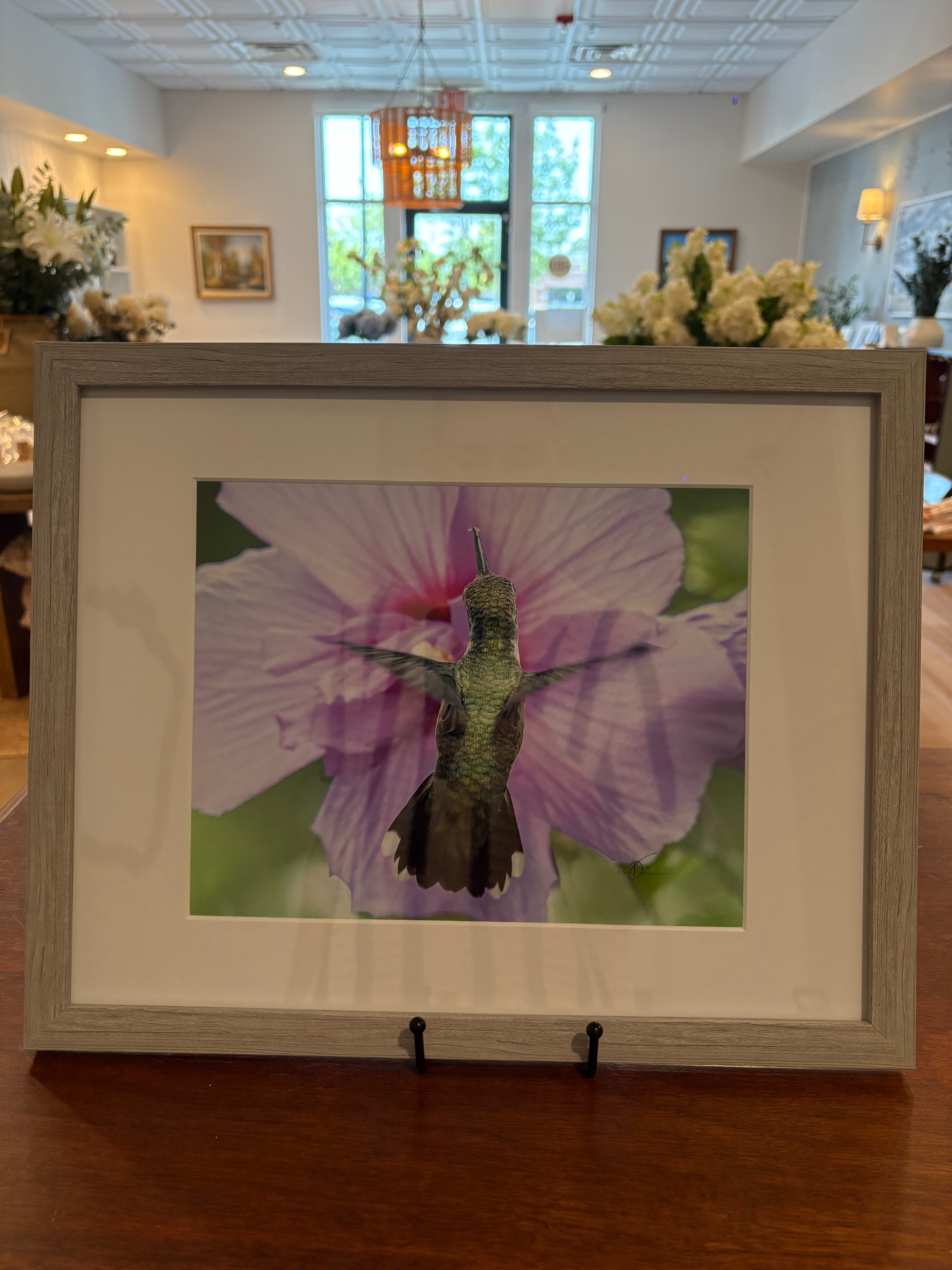 Framed Hummingbird - White Egret Studio