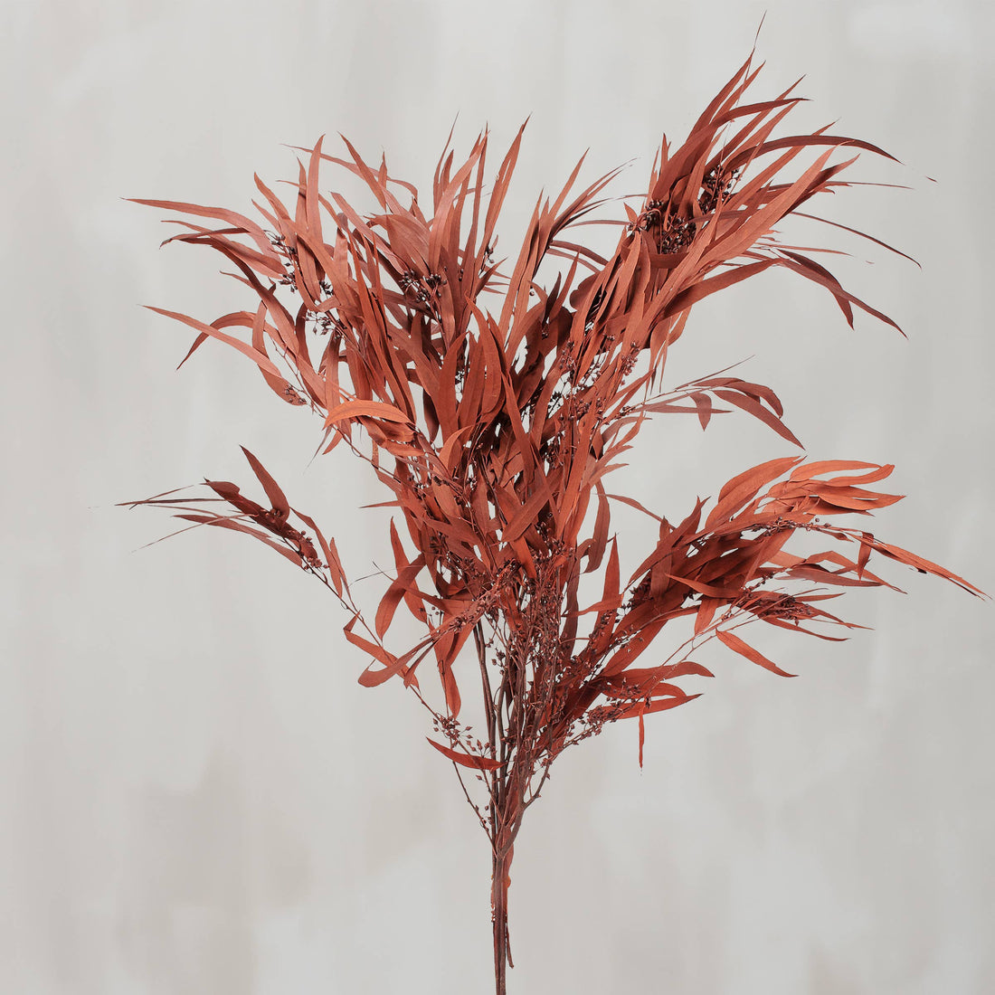 Rust Eucalyptus Bouquet