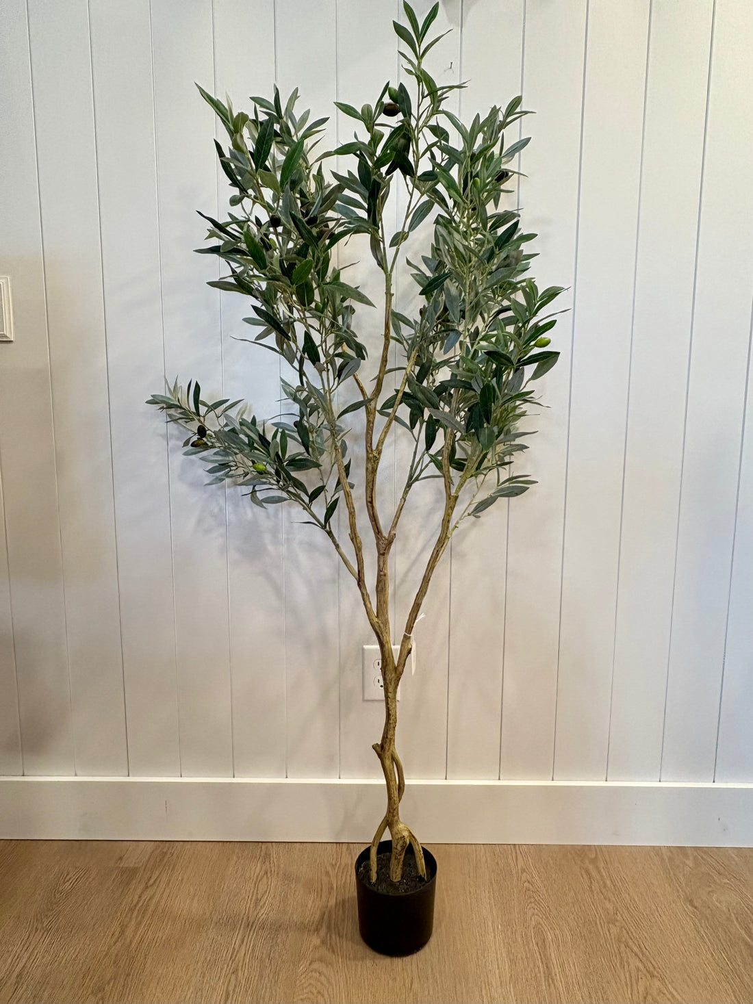 Faux Potted Olive Tree