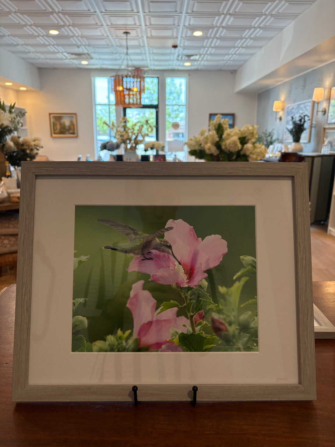 Framed Hummingbird - White Egret Studio