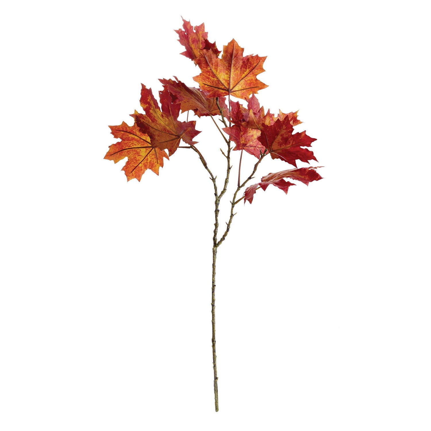 Maple Leaf Branch