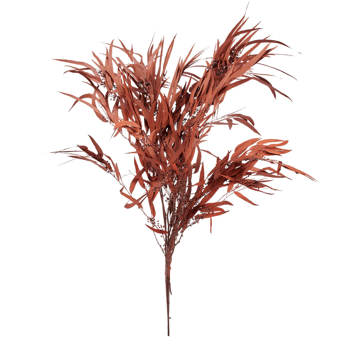 Rust Eucalyptus Bouquet
