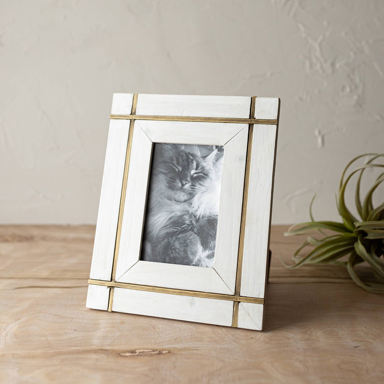 Henrie White Wood and Brass Border Frame