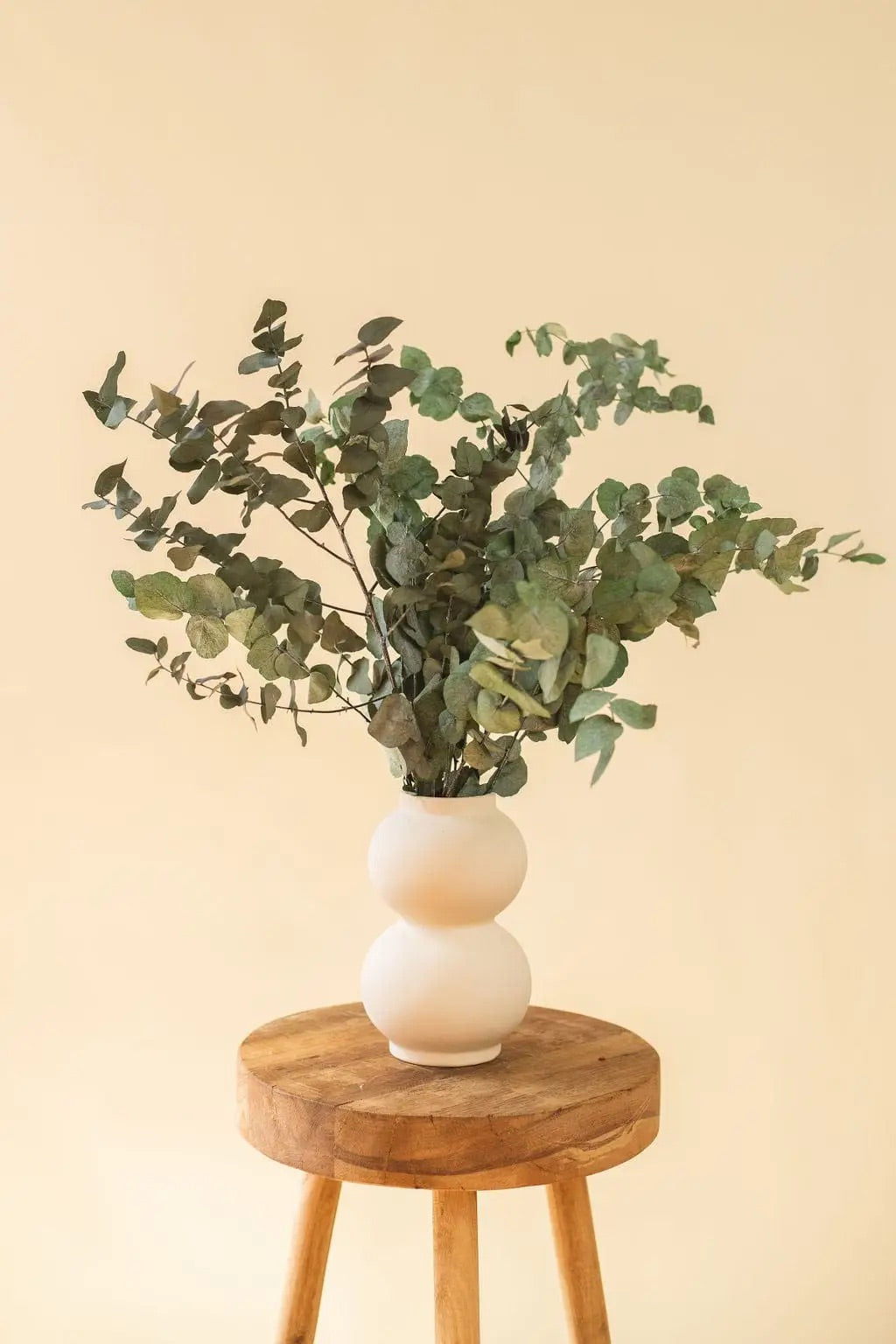 Dried Green Eucalyptus